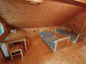 Room Janez